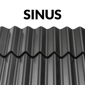 Sinus