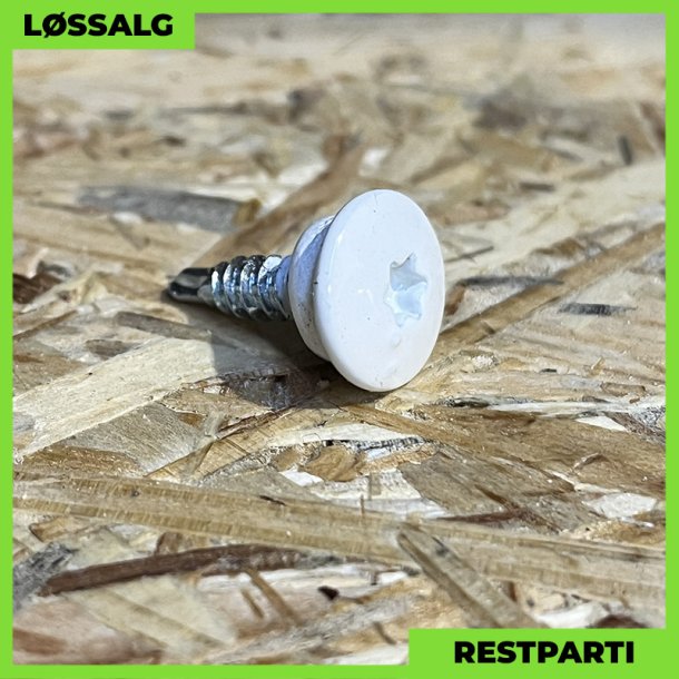 Overlapskrue - 4,8x20 mm - TTAP Torx - RAL 9010 Hvid - 100 stk.